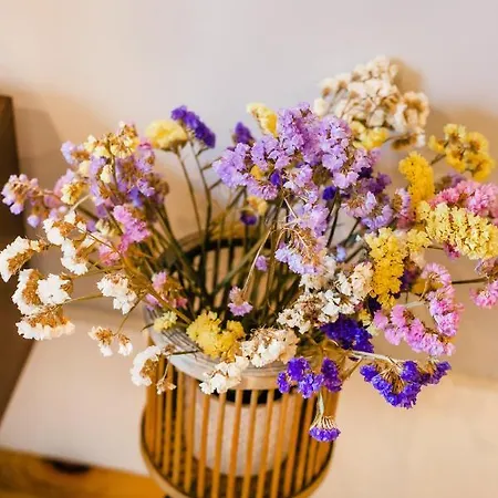 Santos Pousada Executive Studio Порту