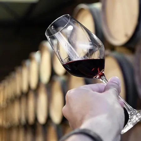 Апартаменты Santos Pousada Executive Studio